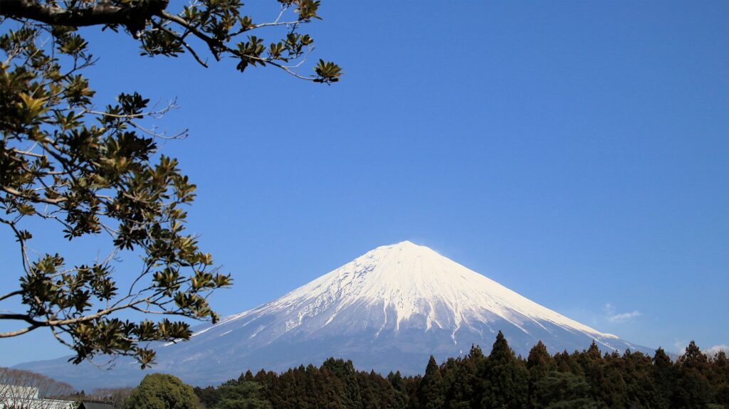 富士山麓の風景